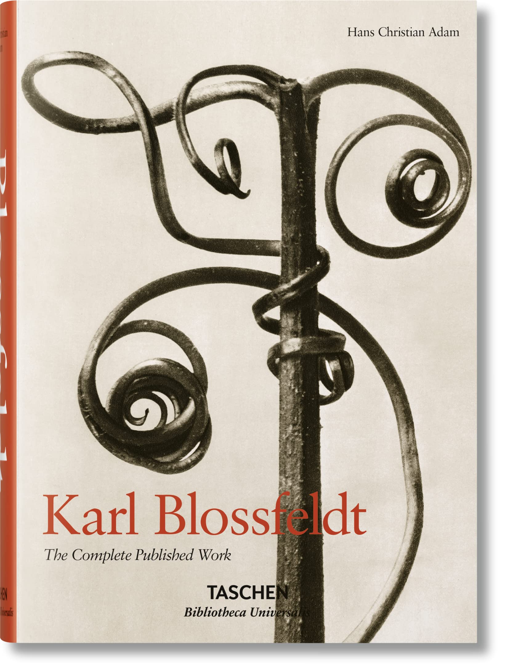 アート・デザイン・音楽 90s Karl Blossfeldt art book Karl Blossfeldt: The Complete Published Work | Amazon.com.br